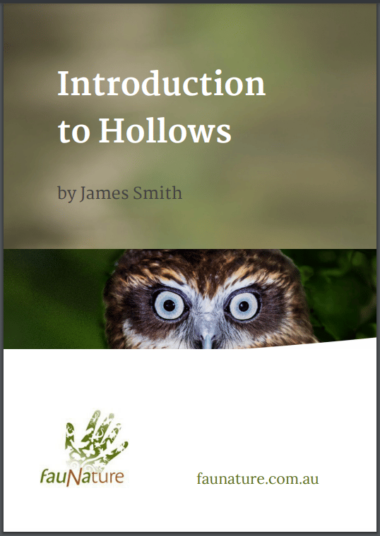 Introduction to Hollows eBook by James Smith